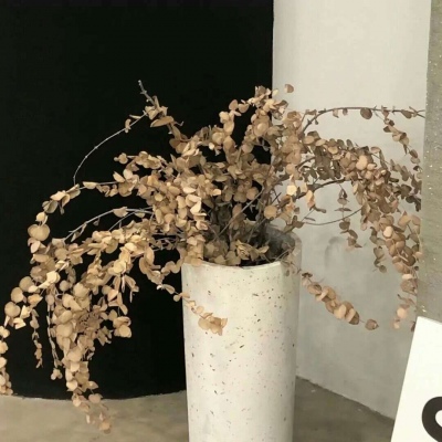 东安福瑞交流群